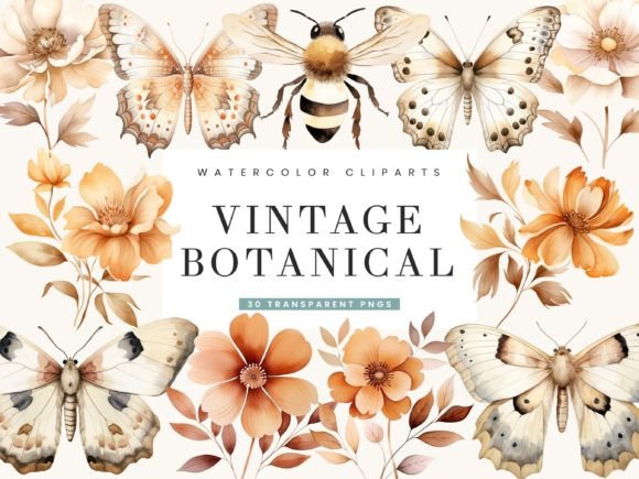 Download Watercolor Vintage Botanical Clipart - Clipart Collection