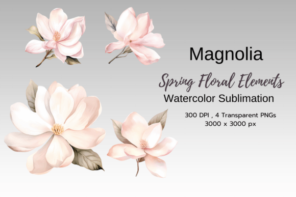 Download Magnolia Spring Florals Clipart - Clipart Collection