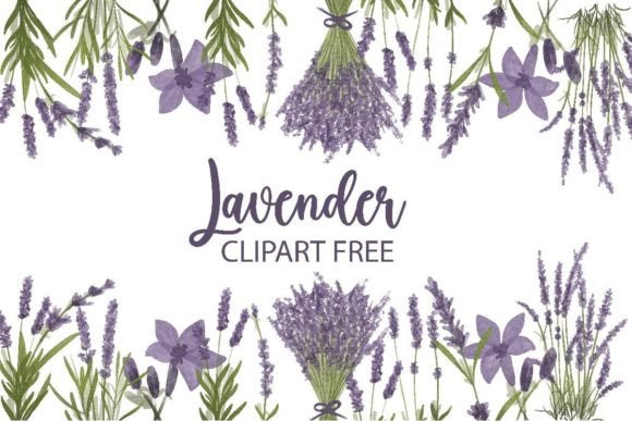 Download Lavender Clipart Free - Clipart Collection