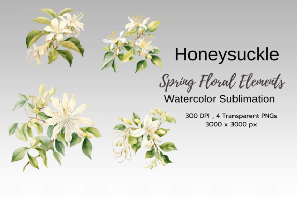 Download Honey Suckle Spring Florals Clipart - Clipart Collection