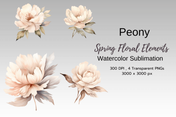 Download Peony Spring Florals Clipart - Clipart Collection
