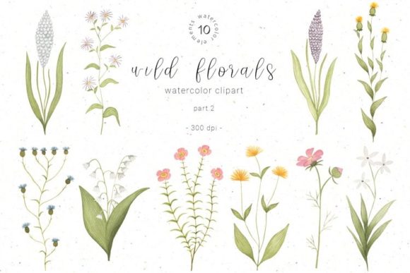 Download Watercolor Wildflower Botanical Clipart - Clipart Collection