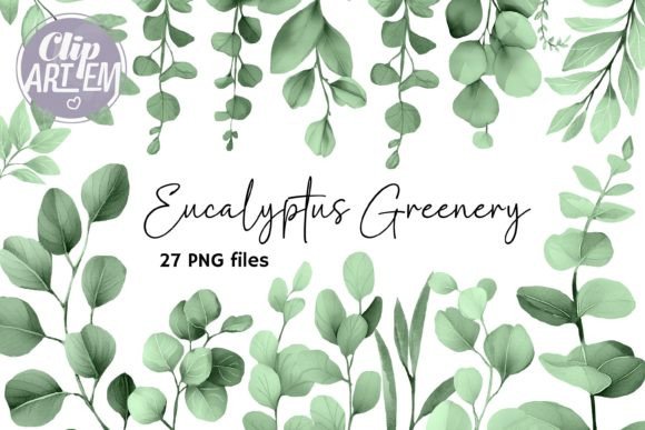 Download Eucalyptus Greenery ClipArt 27 PNG Sage - Clipart Collection