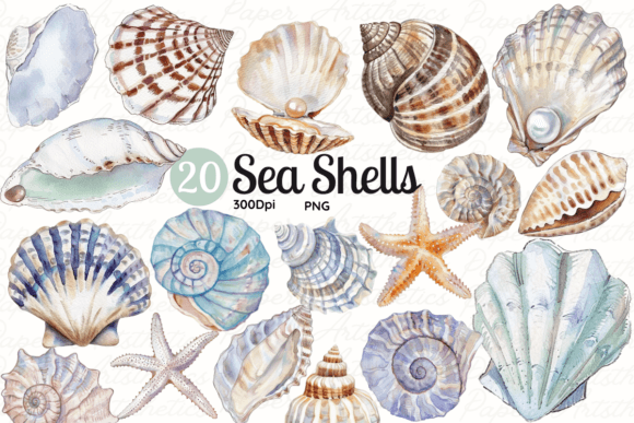 Download Seashell Clipart Sea Shell Illustrations - Clipart Collection